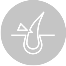 Alt Image
